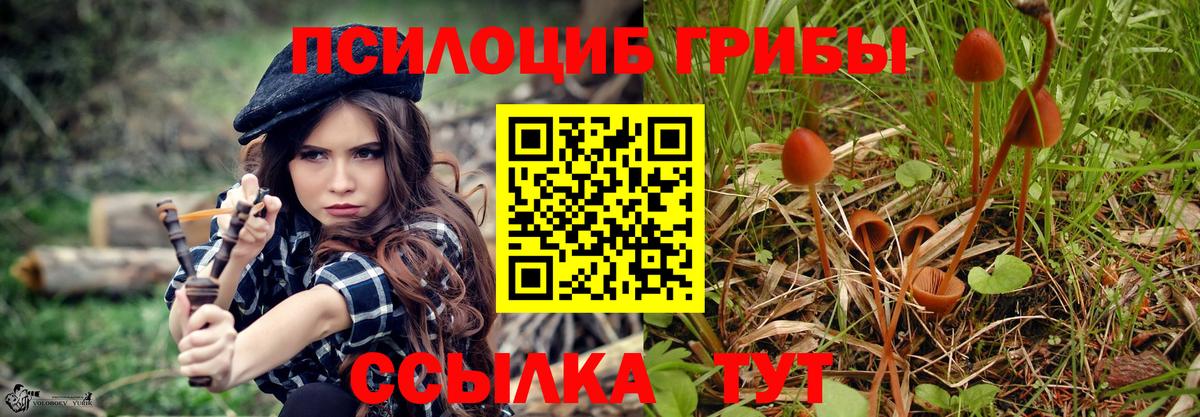 Галлюциногенные грибы мухоморы  Вход с VPN  Кемерово 